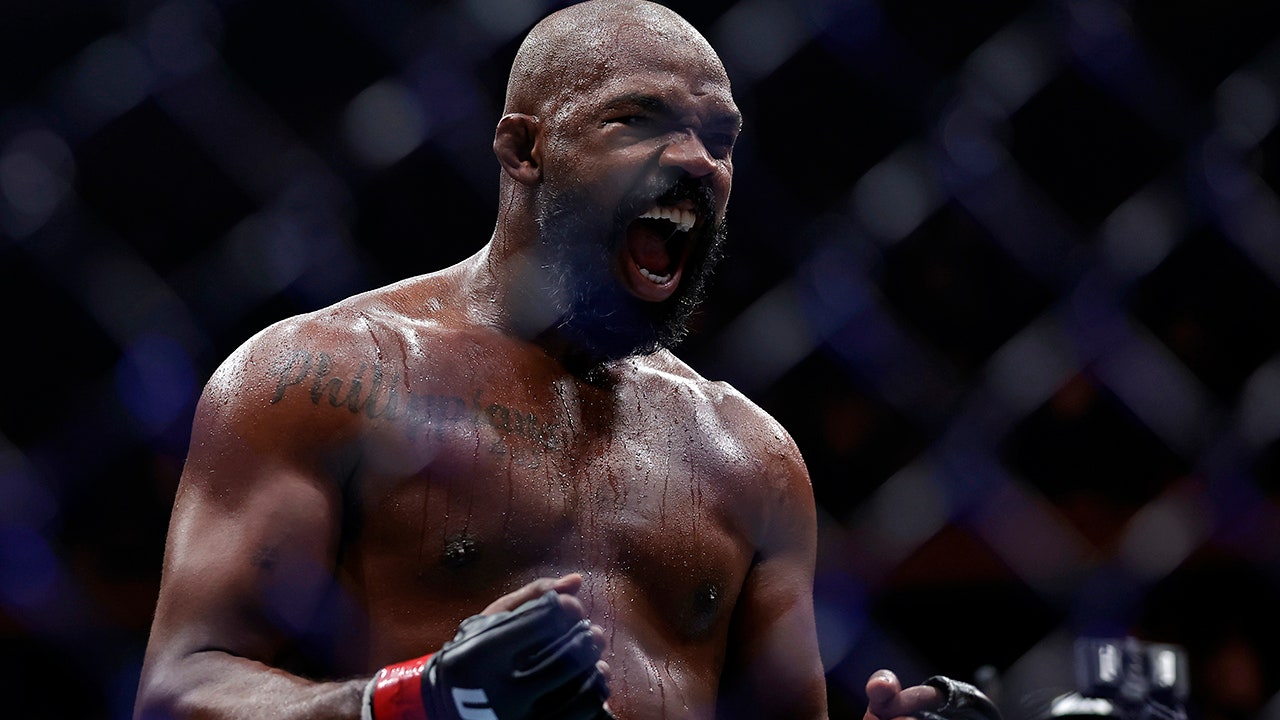 Jon Jones2.jpg