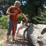 Katie Thomas And Her Dog Finch Train To Detect Spotted Lanternflies.jpg