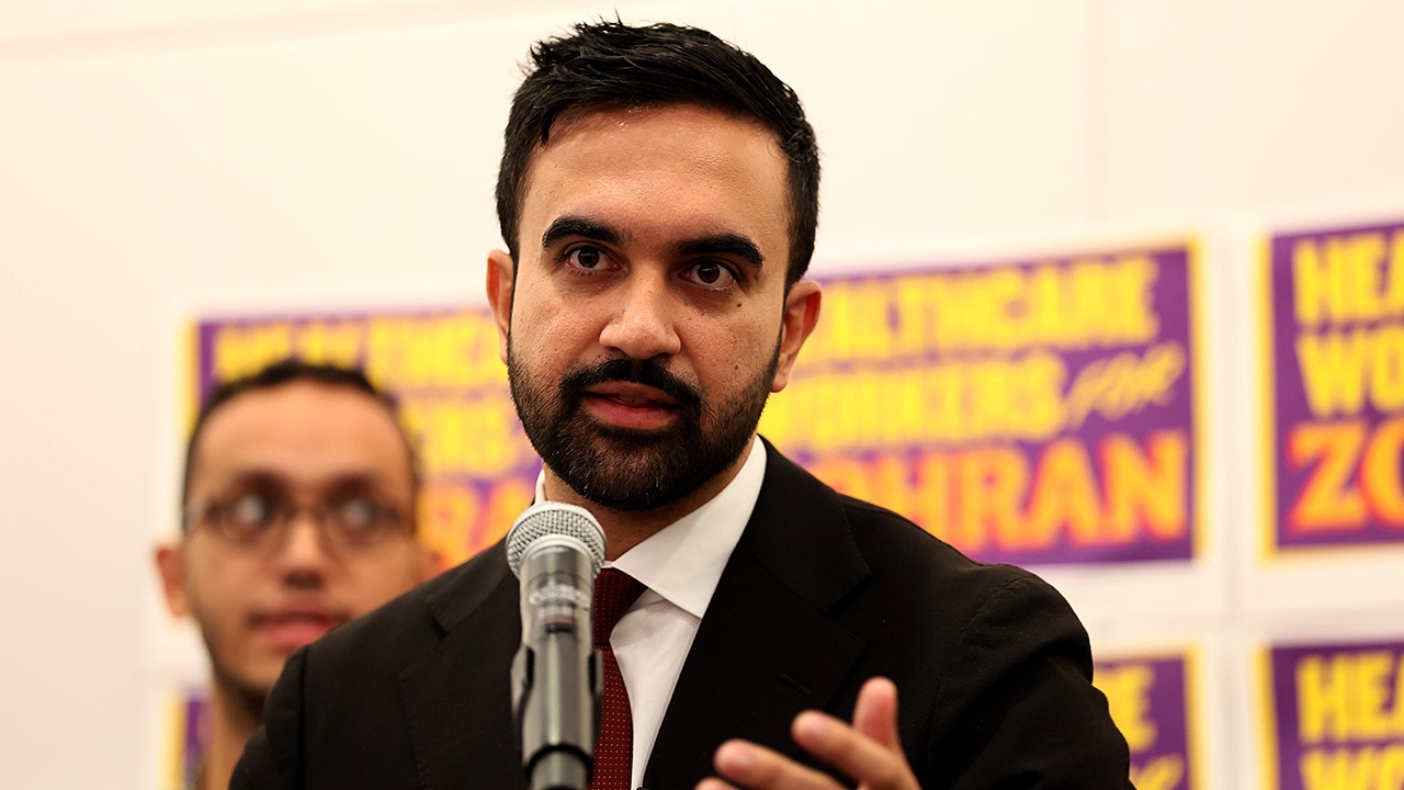 Mamdani City Council Joe Borelli.jpg