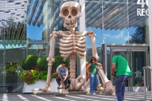 T4 S24 CSKBAZPLNLSLELHFWEMU.jpg