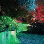 Conservatory Aglow 1.jpg