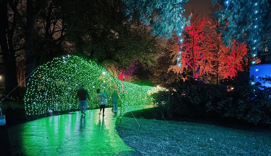 Conservatory Aglow 1.jpg