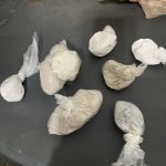 Portsmouth Drug Bust4 102825.jpg