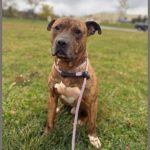 Untitled Design 1.jpg