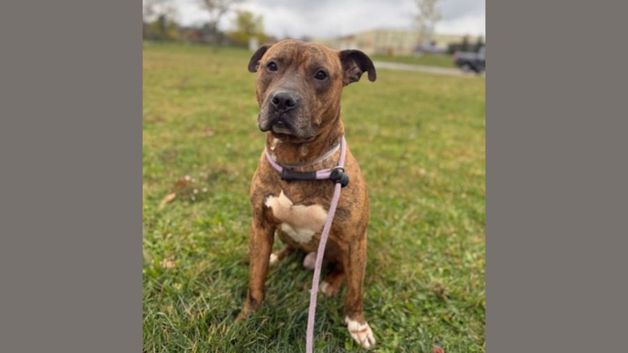 Untitled Design 1.jpg