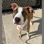 Untitled Design 2.jpg