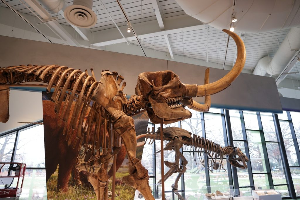 ZJPKOACHJFB2 FDLIK5 CHPI42 TI.JPG