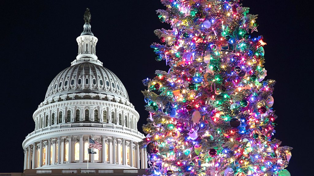 Capitol Hill Holiday Christmas Tree.jpg