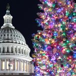 Capitol Hill Holiday Christmas Tree.jpg