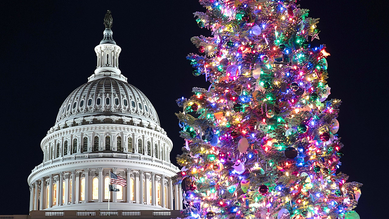 Capitol Hill Holiday Christmas Tree.jpg