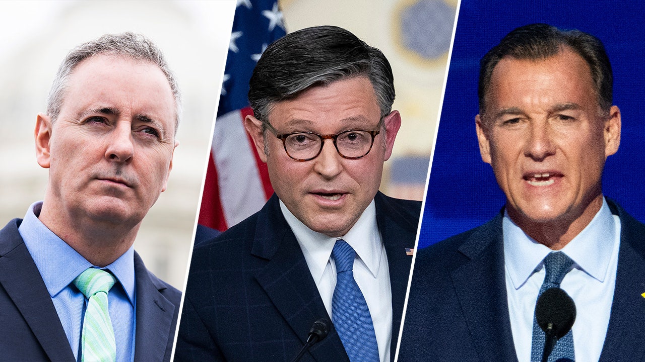 Fitzpatrick Suozzi Johnson.jpg