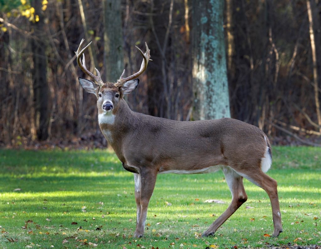 MLJWU2 S3 URB3 XLSEGT44 SEQZTI.jpg