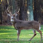 MLJWU2 S3 URB3 XLSEGT44 SEQZTI.jpg