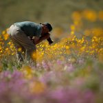 IU3 HOWYB3 NFHXJLTBFJHTJW2 AU.jpg