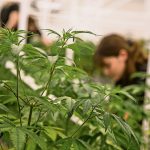 P4 PJHTVPTFHY3 H22 IMYUUEO7 SA.JPG