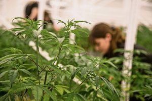 P4 PJHTVPTFHY3 H22 IMYUUEO7 SA.JPG