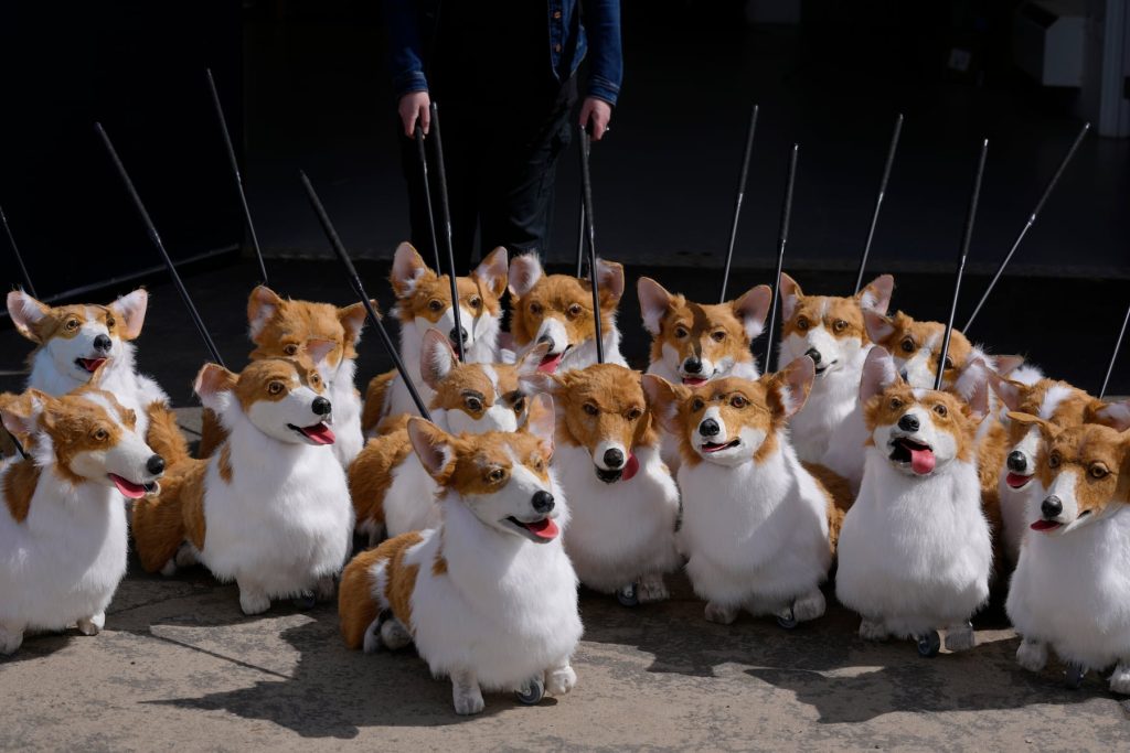 ZW7 TXJEPFHL3 LCFLHBOWNSTSE.jpg