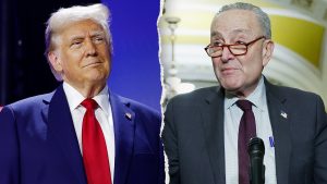 Trump Schumer Split3.jpg