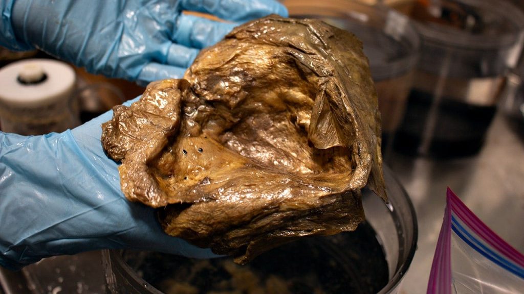 Golden Orb NOAA.jpeg