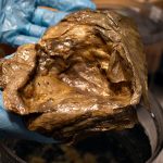 Golden Orb NOAA.jpeg