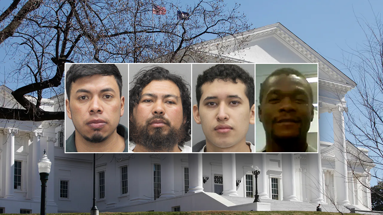Virginia Criminal Illegals Mugshots.png