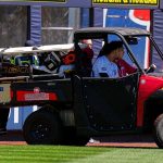 Jasson Dominguez Injury Yankees Fox News 001.jpeg