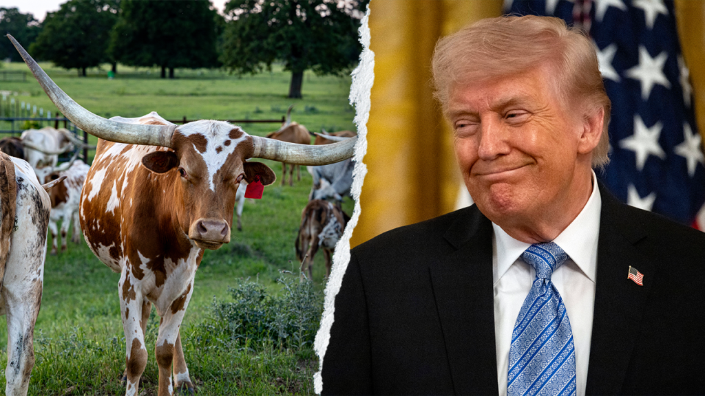 Longhorn Trump.png