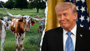 Longhorn Trump.png