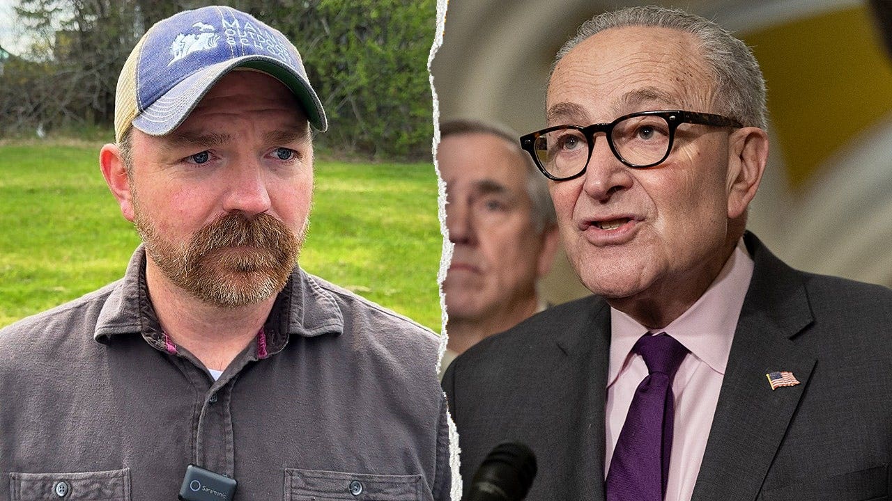 Platner Schumer Split.jpeg