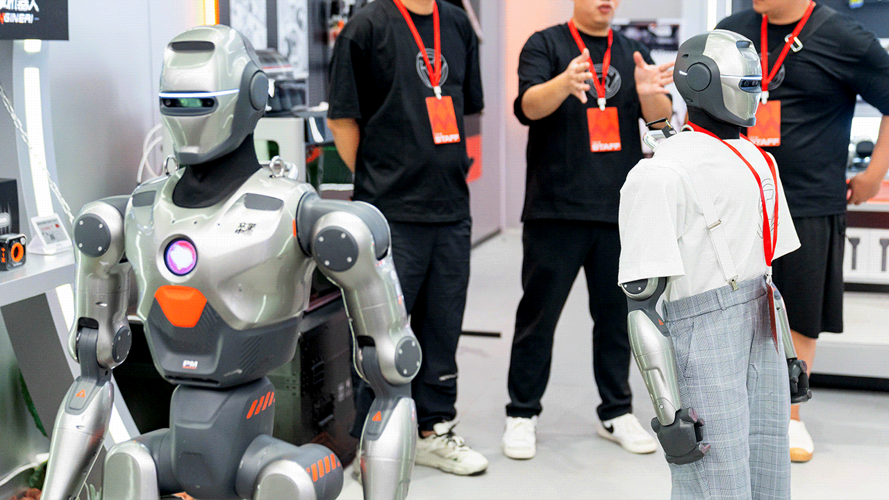 Engineai Humanoid Robot 3.gif