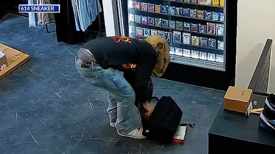 Hoodie Thief.jpg